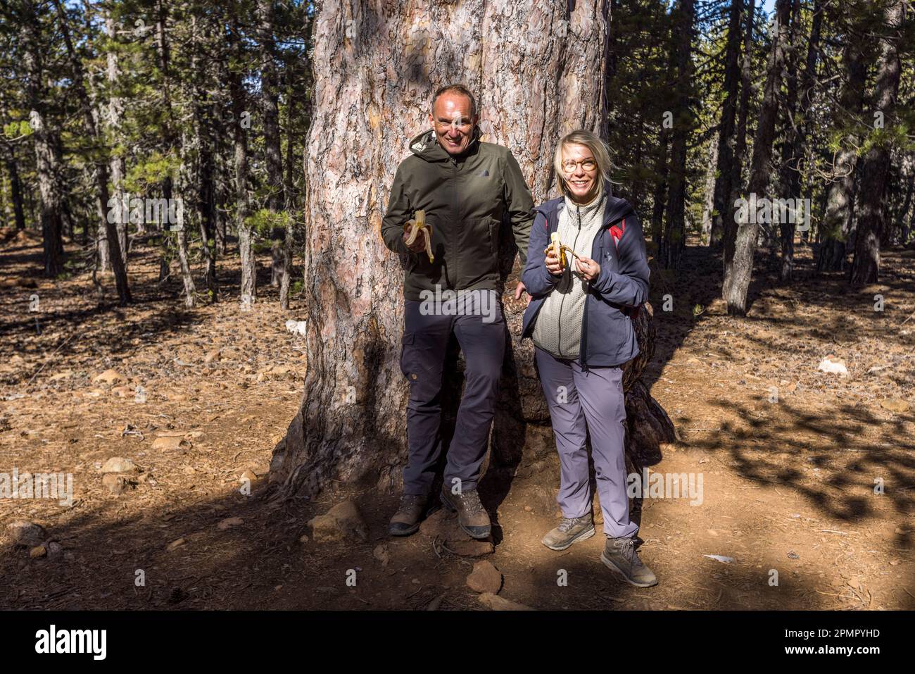 Wandern in den Troodos-Bergen, Zypern. Franz Bauernhofer und Angela Berg vor einer 500 Jahre alten schwarzen Kiefer im Troodos National Forest Park Stockfoto