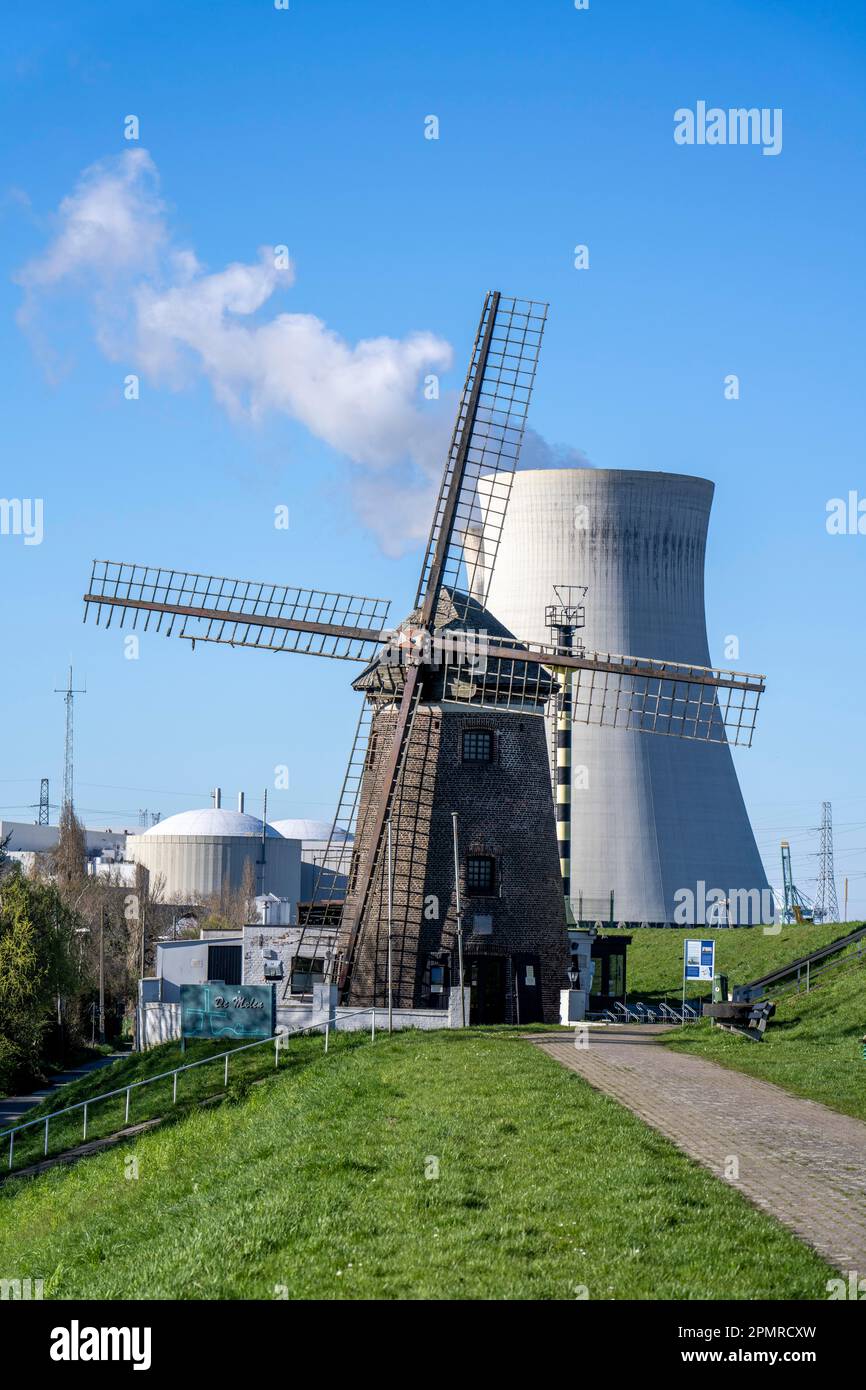 Das Kernkraftwerk Doel am Fluss Schelde, eines von zwei Kernkraftwerken in Belgien, besteht aus drei Betriebseinheiten, die jeweils mit einem Pressur ausgestattet sind Stockfoto