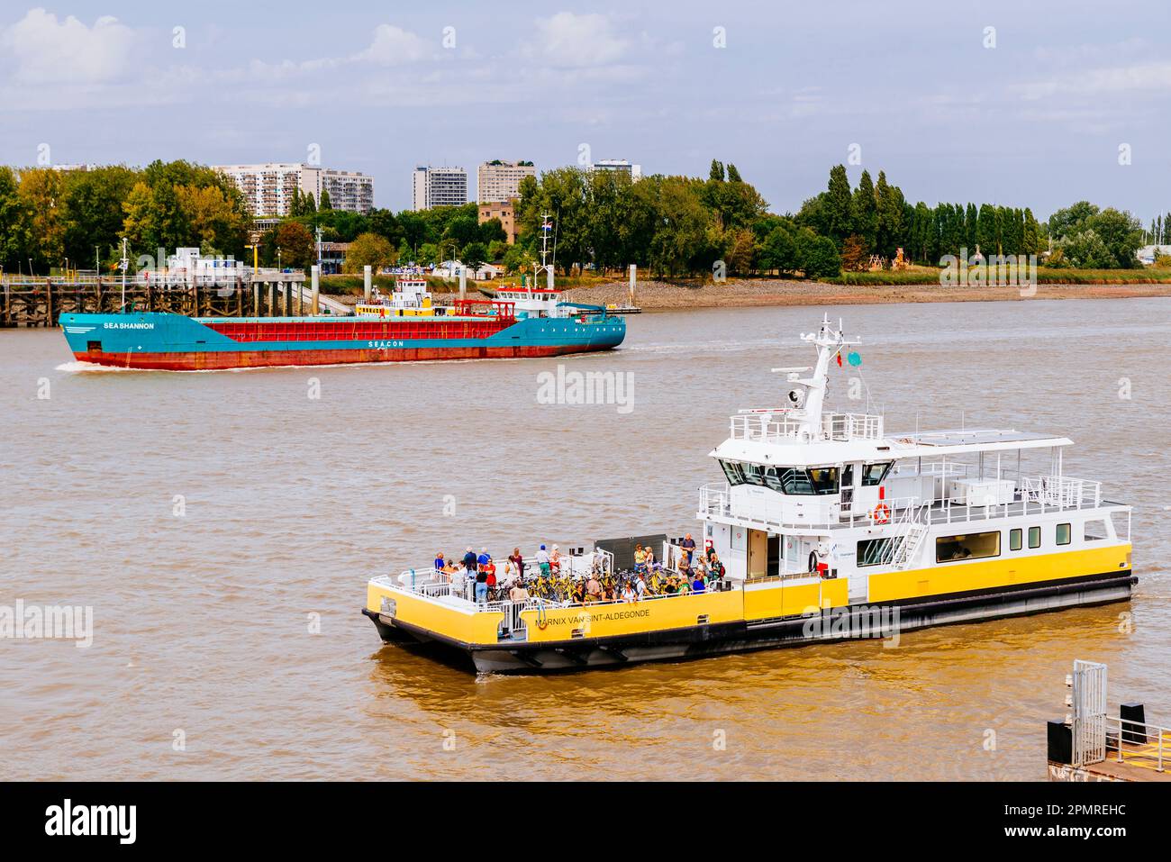 Fährverbindung zwischen den Ufern der Schelde. Antwerpen, Flämische Region, Belgien, Europa Stockfoto