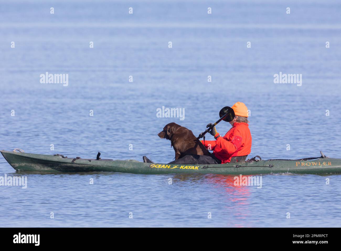 Mann in roter Jacke mit Hund im Ocean Kajak Stockfoto