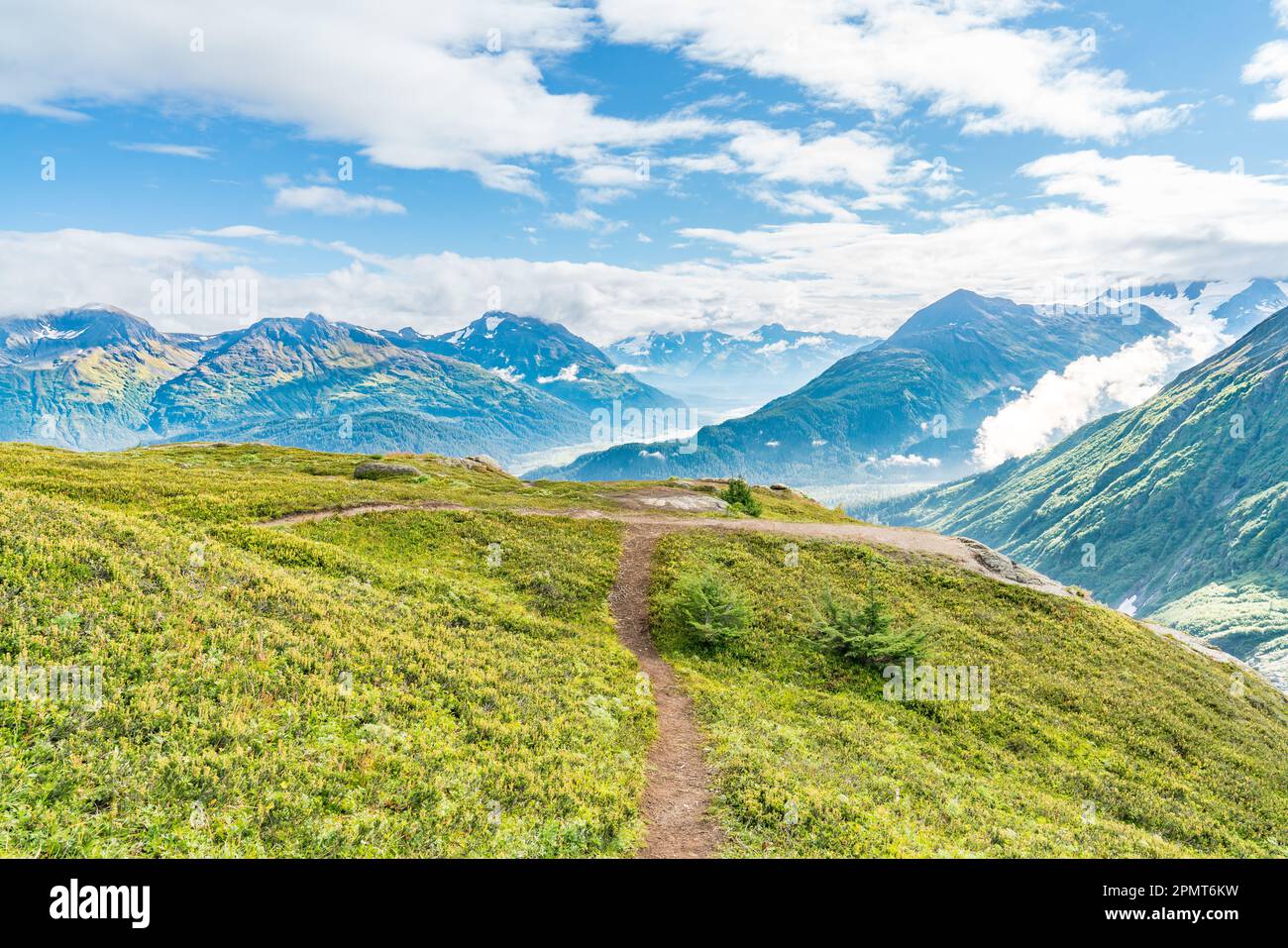 Wanderwege am Aussichtspunkt Exit Glacier Trail im Kenai Fjords National Park in der Nähe von Seward, Alaska Stockfoto