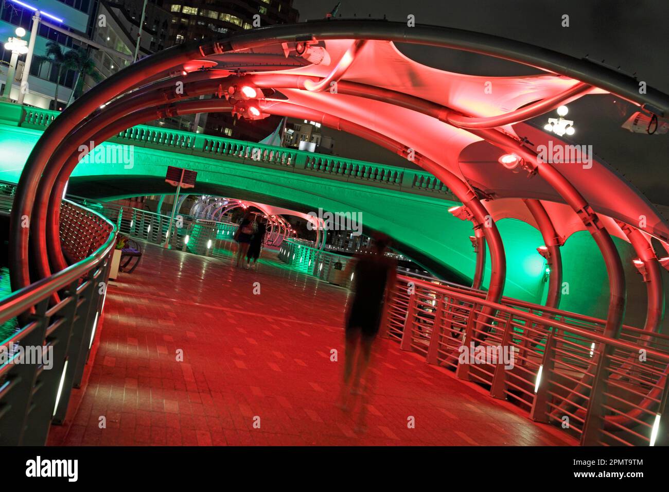 Tampa, Florida. Riverwalk bei Nacht am Hillsborough River Stockfoto