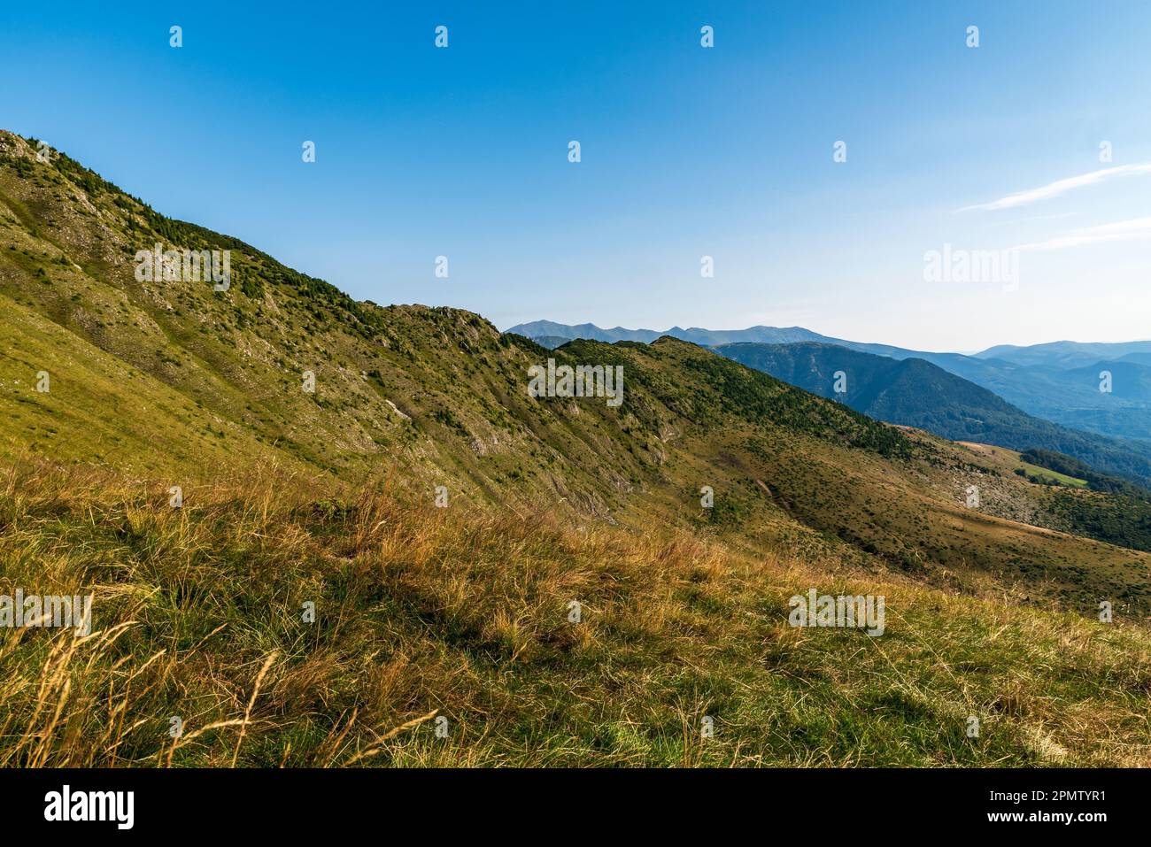 Wunderschöne Karpaten in Rumänien - Blick während der Wanderung zum Oslea-Hügel in den Valcan-Bergen am Sommermorgen Stockfoto