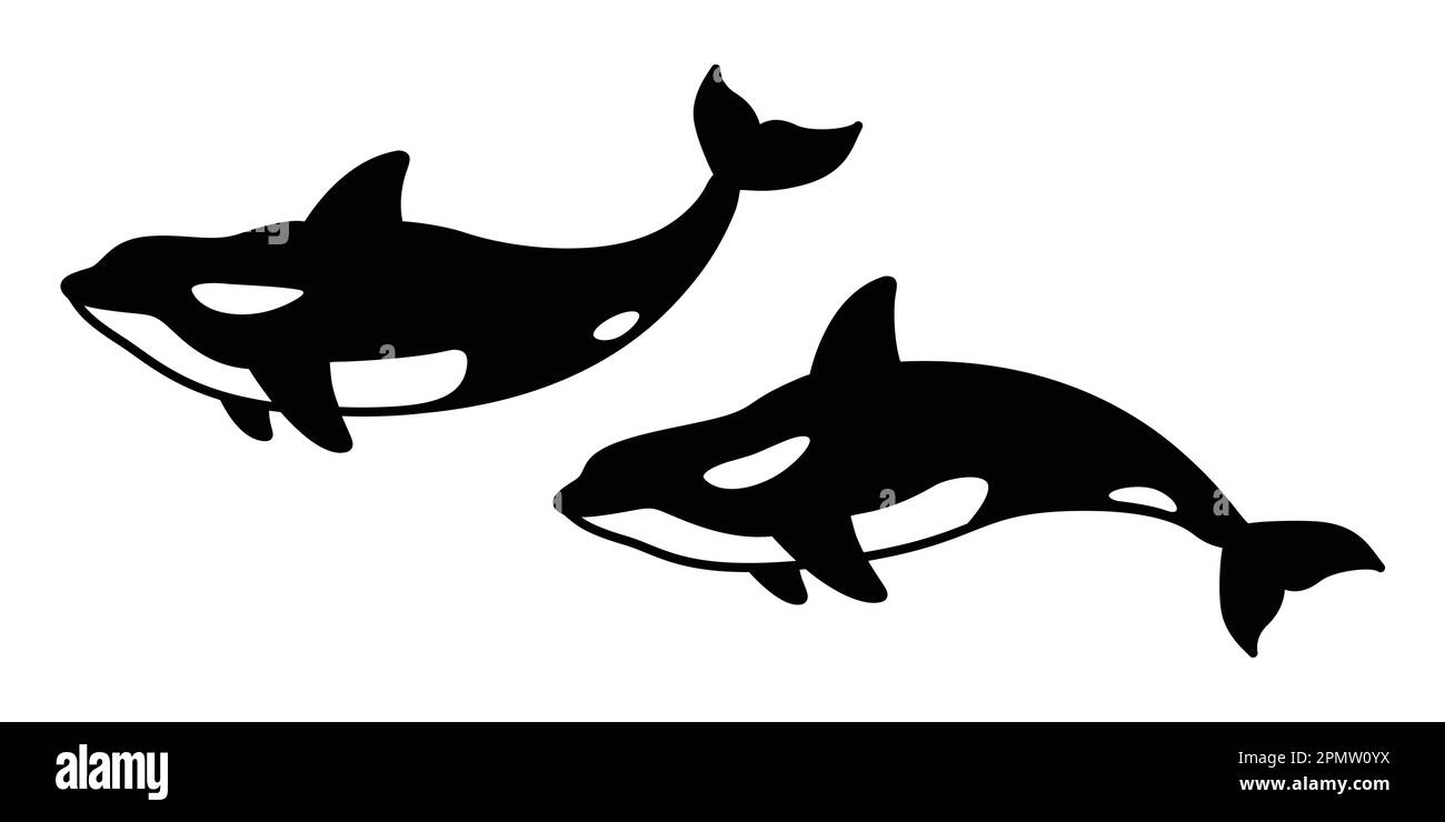 Wal Vektor Delphinhai Symbol Killer Wal Figur Illustration Stock Vektor