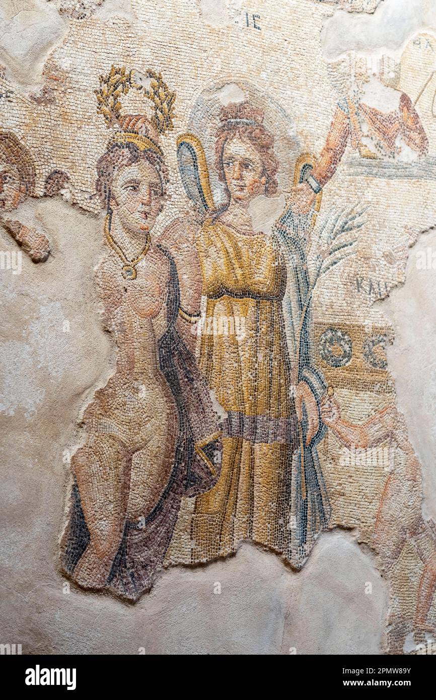 Ausschnitt eines römischen Bodenmosaiks im Haus von Aion, Archäologischer Park von Paphos, Nea Pafos, Paphos, Zypern. Stockfoto