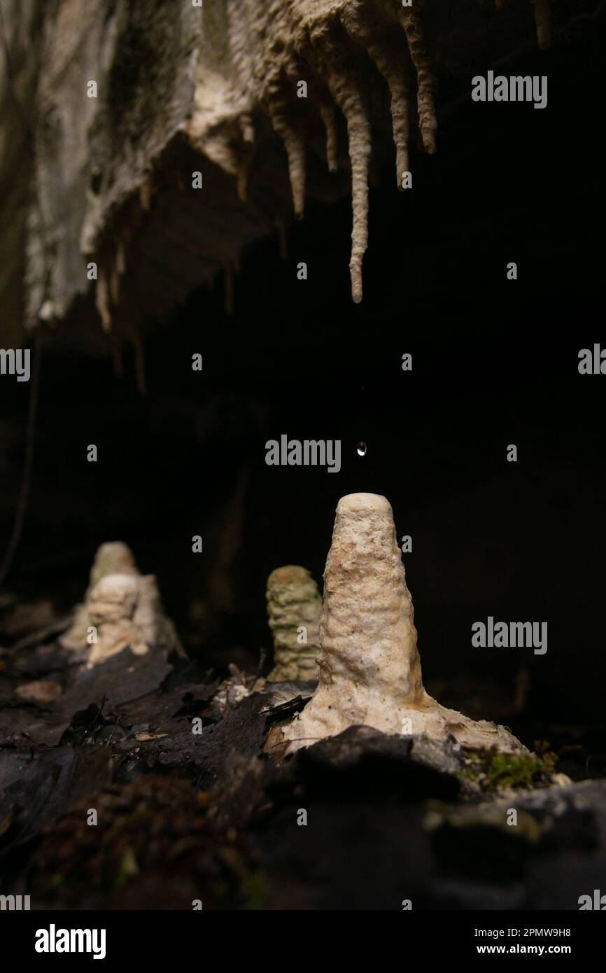 Foto eines Wassertropfens, der auf Stalagmiten fällt, die mit Kalkstein bedeckt sind. Wassertropfen, die in einer unterirdischen Höhle herumspritzen Stockfoto