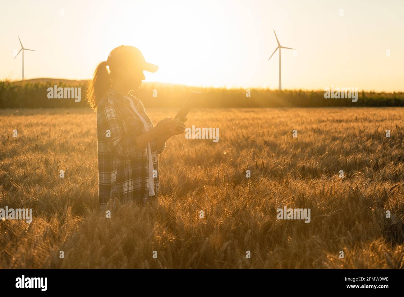 Farmer mit digitalem Tablet auf dem Feld. Windturbinen am Horizont. Nachhaltige Landwirtschaft und Digitalisierung der Landwirtschaft. Hochwertiges Foto Stockfoto