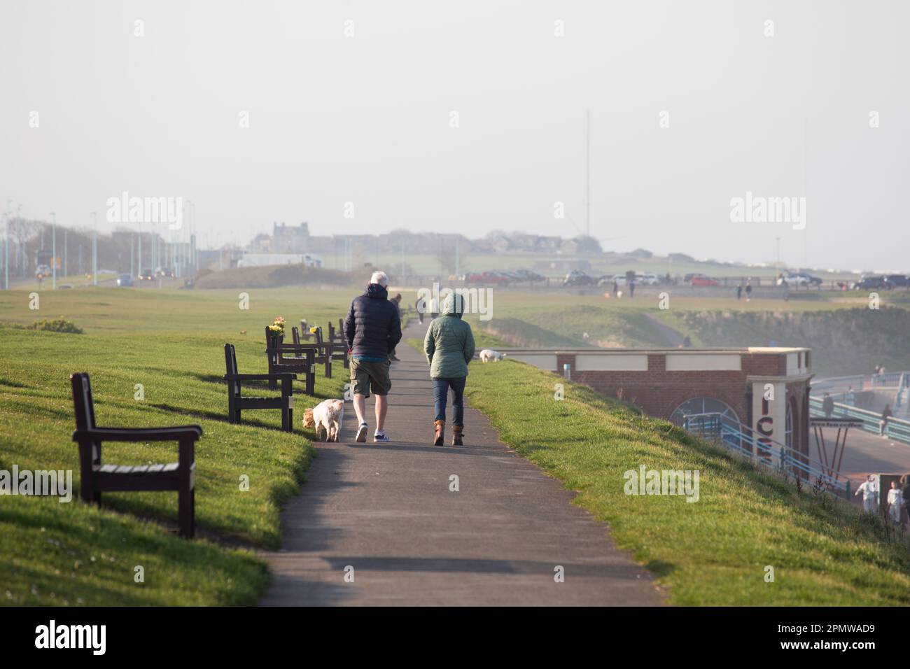 Ein Paar, das mit einem Hund am Meer in Whitley Bay spaziert Stockfoto