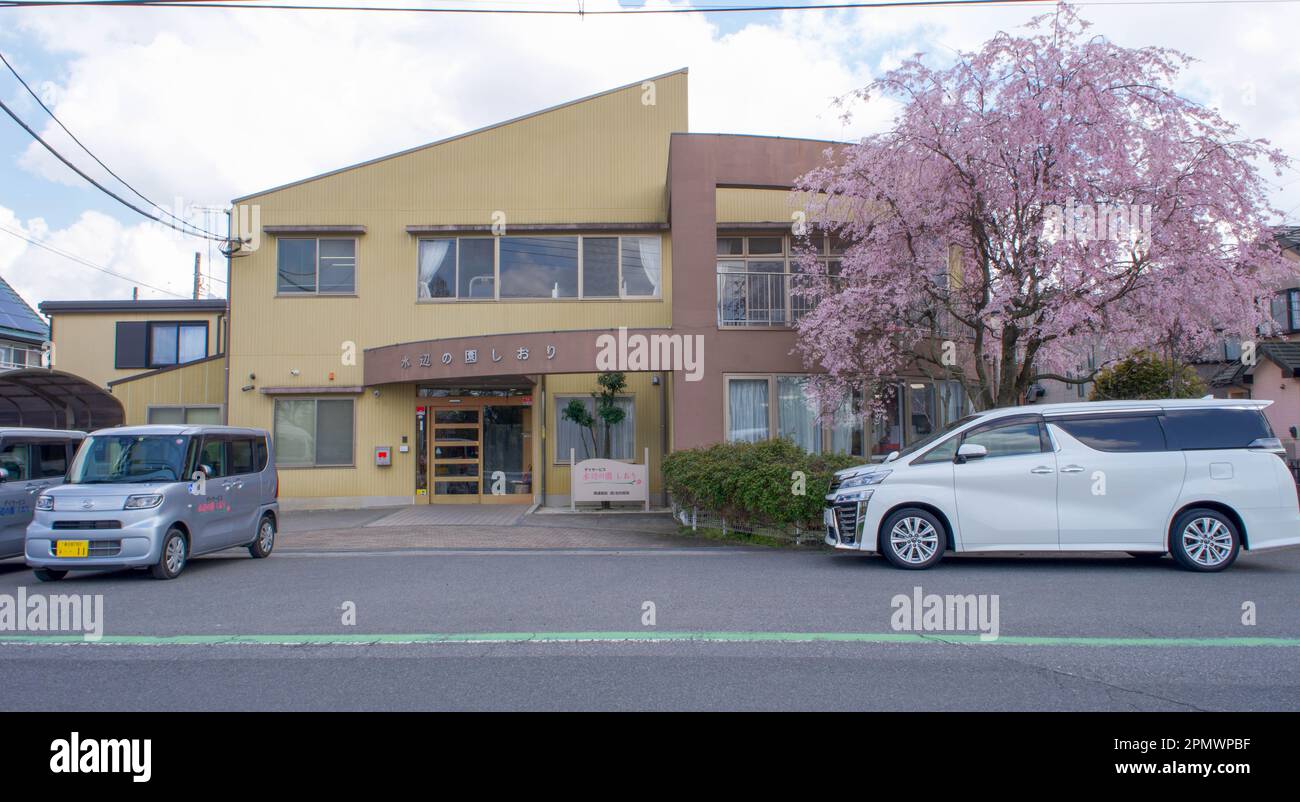 Ein geschäftiges kleines zweistöckiges Pflegeheim mit Autos, die vor dem Hotel geparkt sind, und einem Kirschbaum in voller Blüte vor dem Haupteingang. Stockfoto