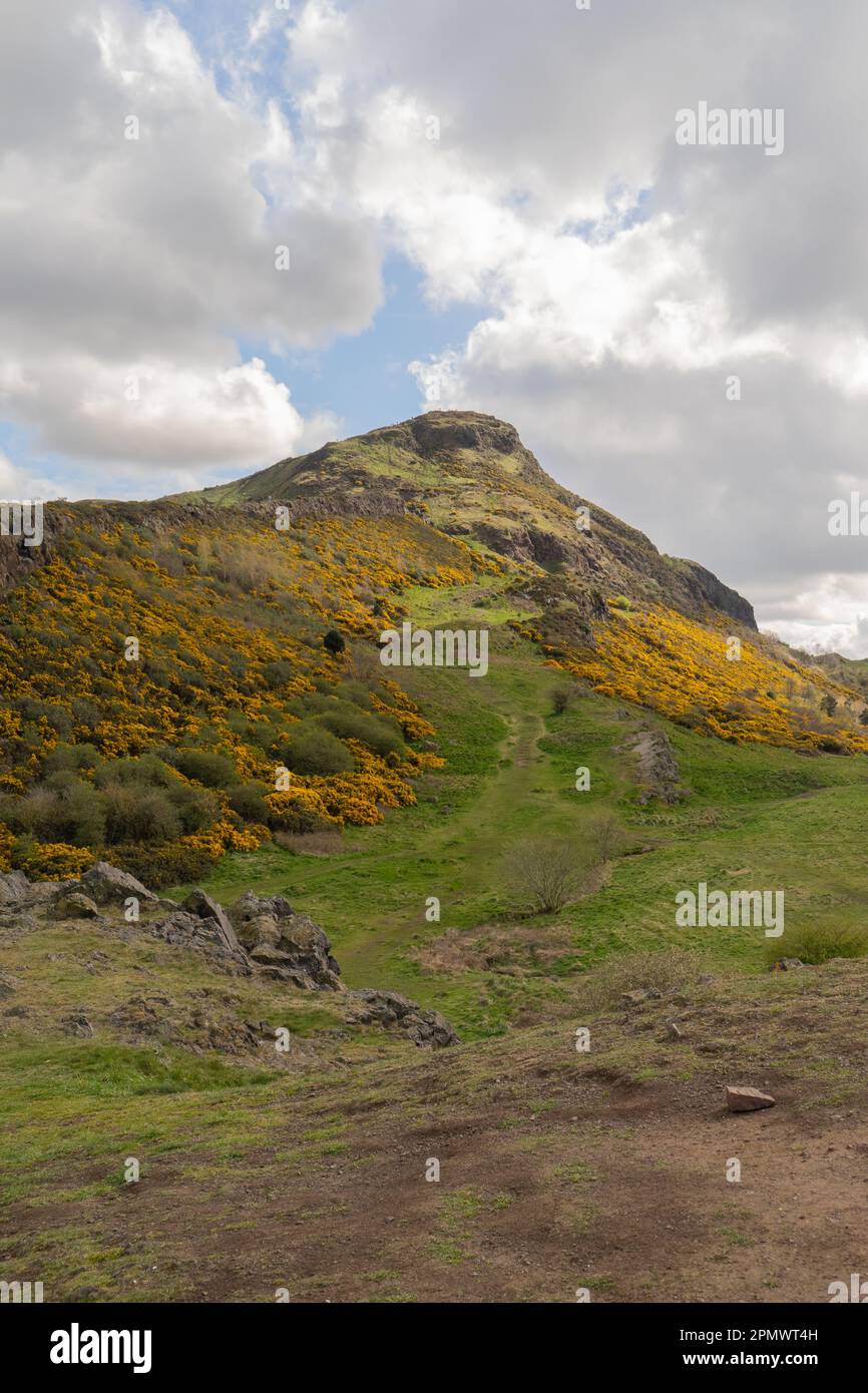 Arthurs Seat, Edinburgh Schottland Stockfoto