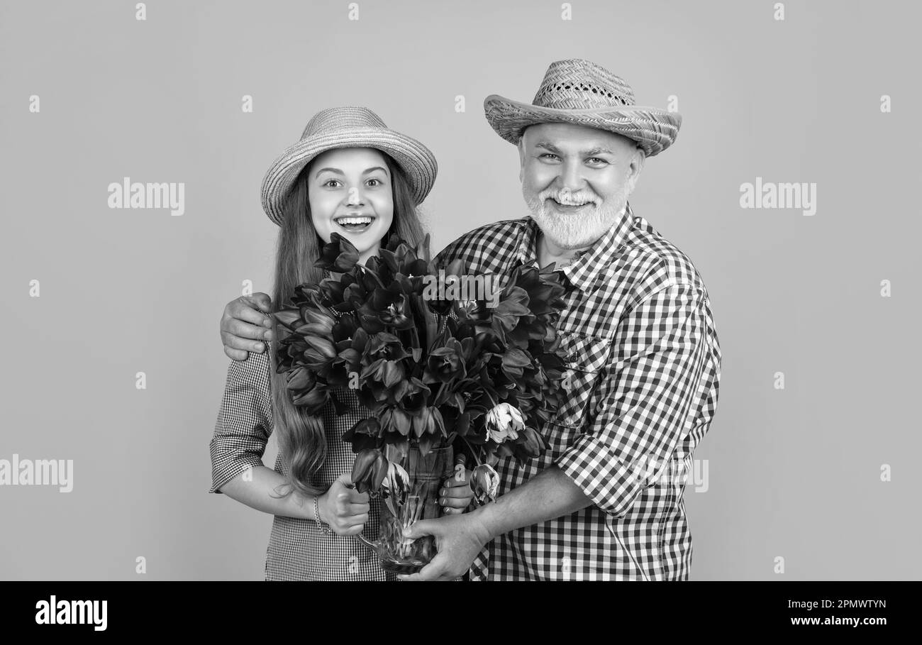 Glücklicher alter Großvater mit Enkelin halten Tulpenblüten auf gelbem Hintergrund. Großeltern Tag. Stockfoto