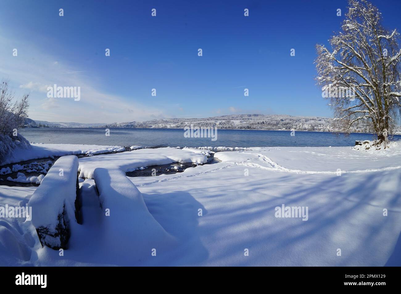 Der untere Teil des Bodensees, die schneebedeckte Küste von Steckborn (Schweiz) und die Insel Reichenau (Deutschland) - Steinbank. Stockfoto