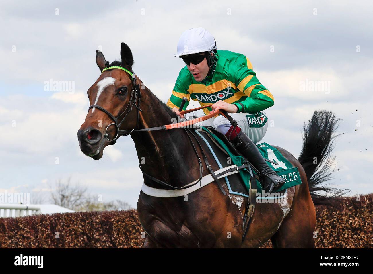Jonbon reitet von Aidan Coleman und springt über den letzten Zaun auf dem Weg zum Gewinn des EFT Systems Maghull Novizen Chase The Randox Grand National Festival 2023 Grand National Day auf der Rennbahn Aintree, Liverpool, Großbritannien, 15. April 2023 (Foto von Conor Molloy/News Images) Stockfoto