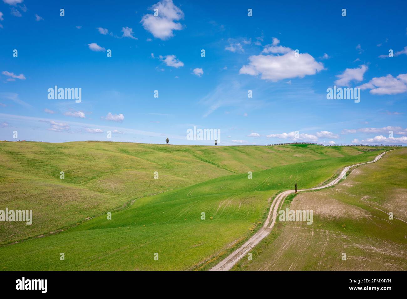 Grüne und gelbe Frühlingspanorama-Landschaft der Toskana, Italien. Stockfoto