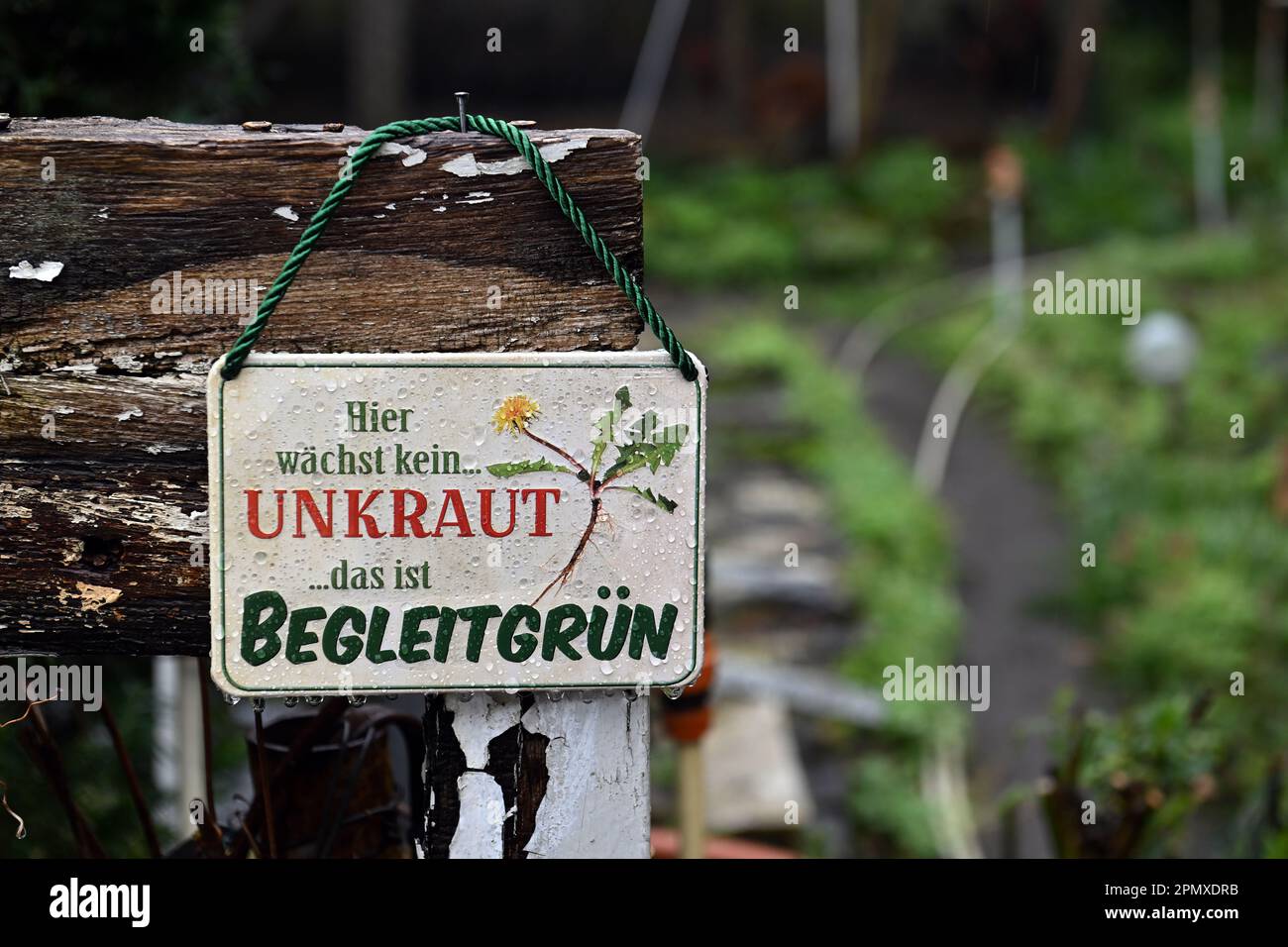 31+ Garten Der Wörter Hängt Sich Auf, Mit unseren garten der