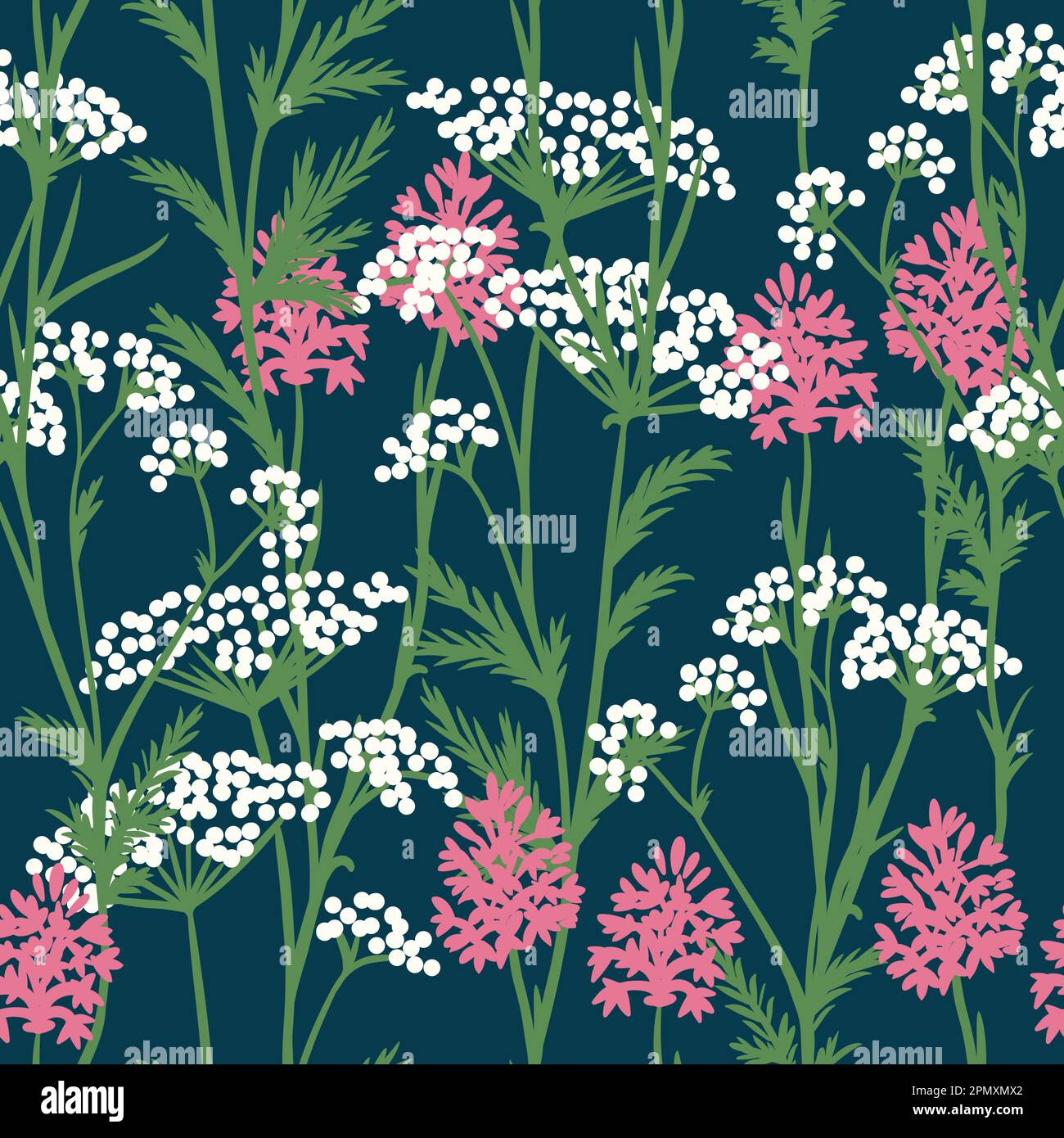 Handgezeichnetes nahtloses Muster aus weißer Petersilie, rosa Pyramidenorchidee, Wildblumen, Blumendesign. Naturpflanze auf dunkelblauem marineblauem Indigo-Hintergrund, britisches gewöhnliches Kräutergras Stockfoto