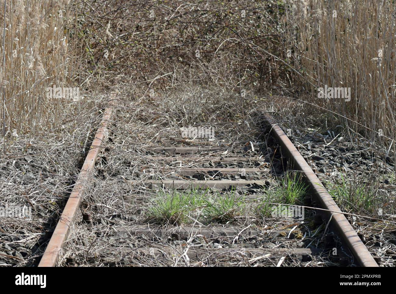 Ein paar Tufts Gras schleichen sich auf der ausgedienten Piste rein Stockfoto