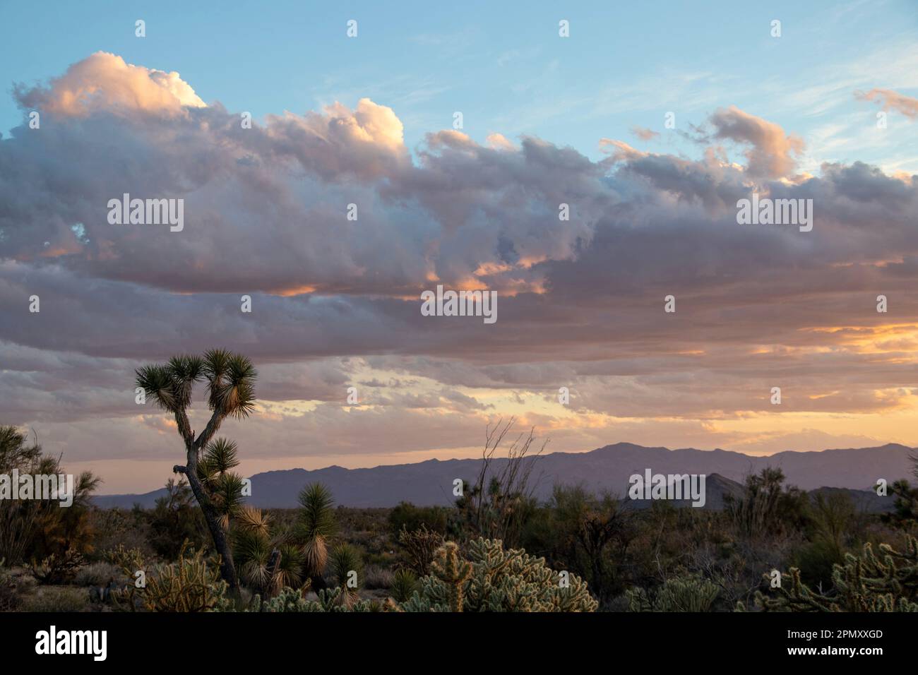 Farbenfroher Wüstenhimmel Stockfoto