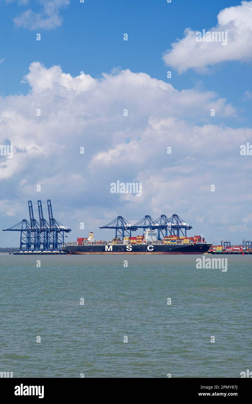 Containerschiff MSC Lauren am Liegeplatz im Hafen von Felixstowe, Suffolk, Vereinigtes Königreich. Stockfoto