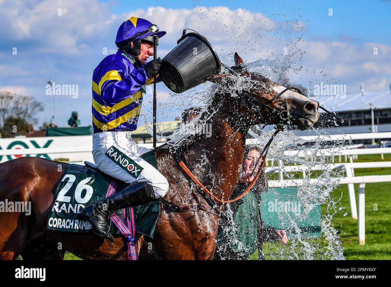 15. April 2023; Aintree Racecourse, Aintree, Merseyside, England: 2023 Grand National Festival Day 3; Corach Rambler bekommt eine Kühldusche, nachdem er den Randox Grand National gewonnen hat Stockfoto