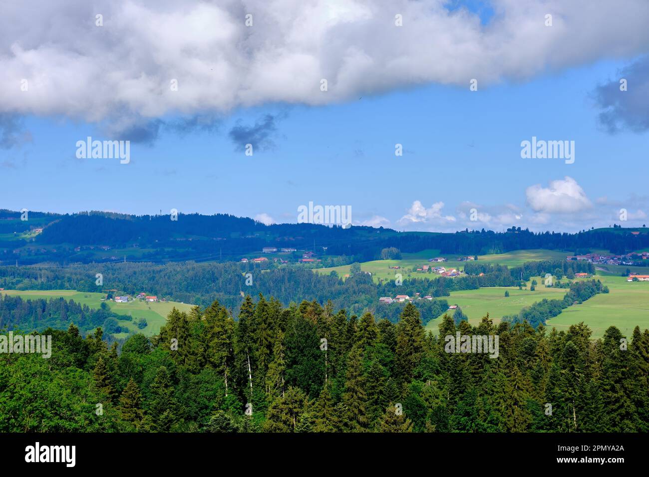Landschaften in Allgaeu am Rande der Straße B 308 zur Deutschen Alpenstraße bei Weiler-Simmerberg, Bayern, Deutschland, Europa. Stockfoto
