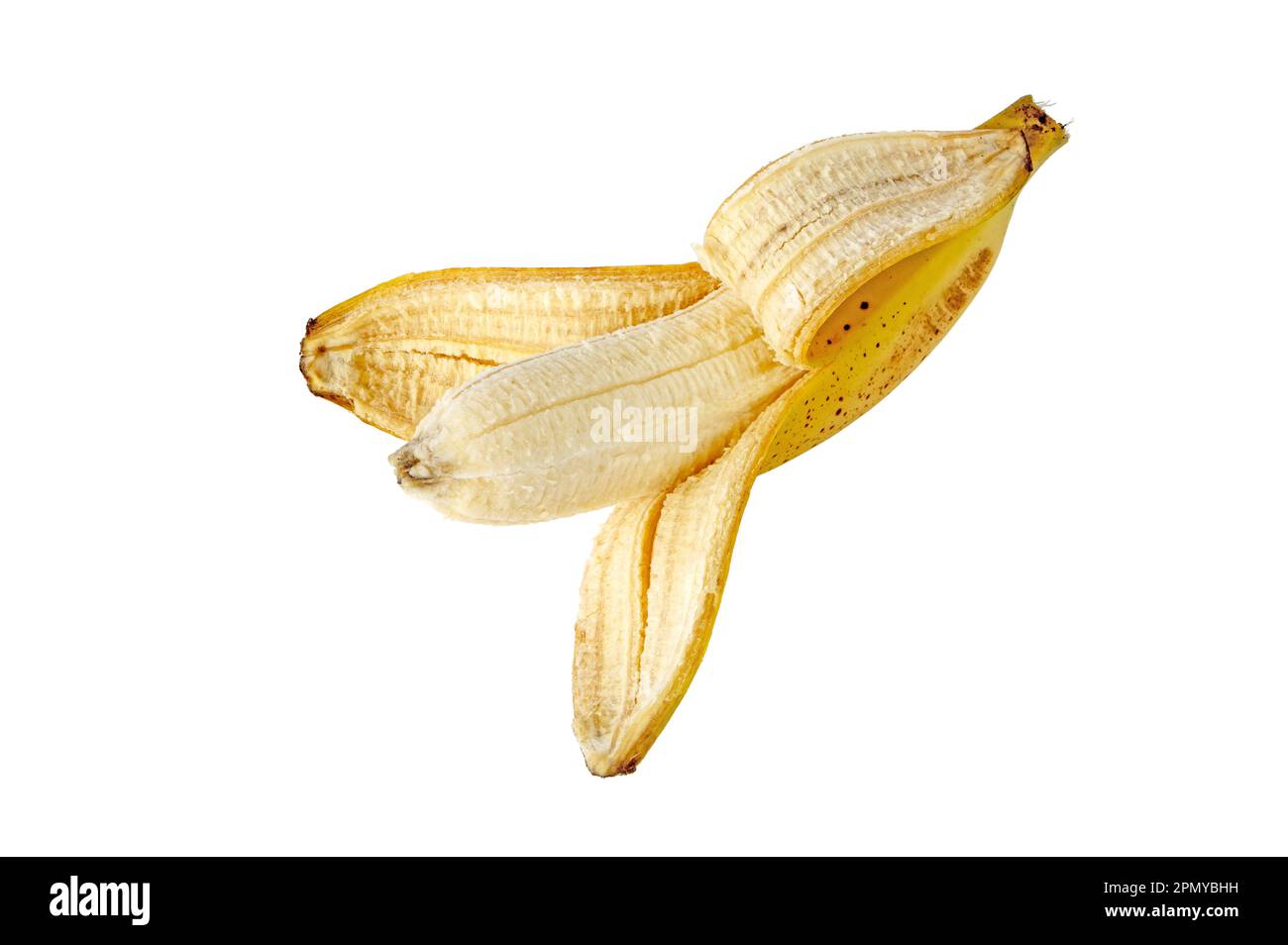 Halb geschälte Banane mit Zuckerflecken auf weiß isoliert. Reife, gelb gefleckte Früchte. Cavendische Sorte von Musa acuminata. Stockfoto
