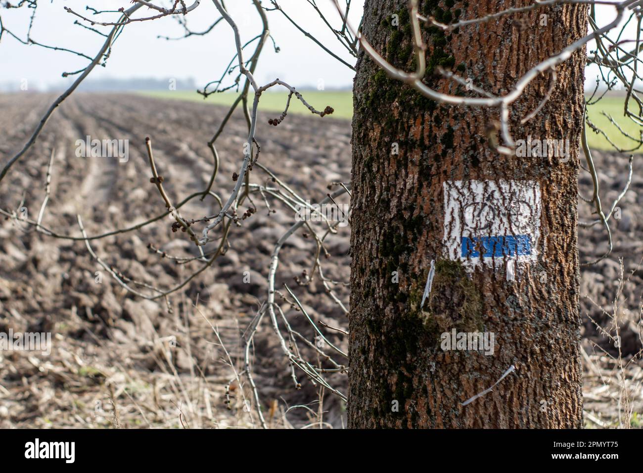 Felder in einem ländlichen Viertel im Frühling mit Radweg-Schild Stockfoto