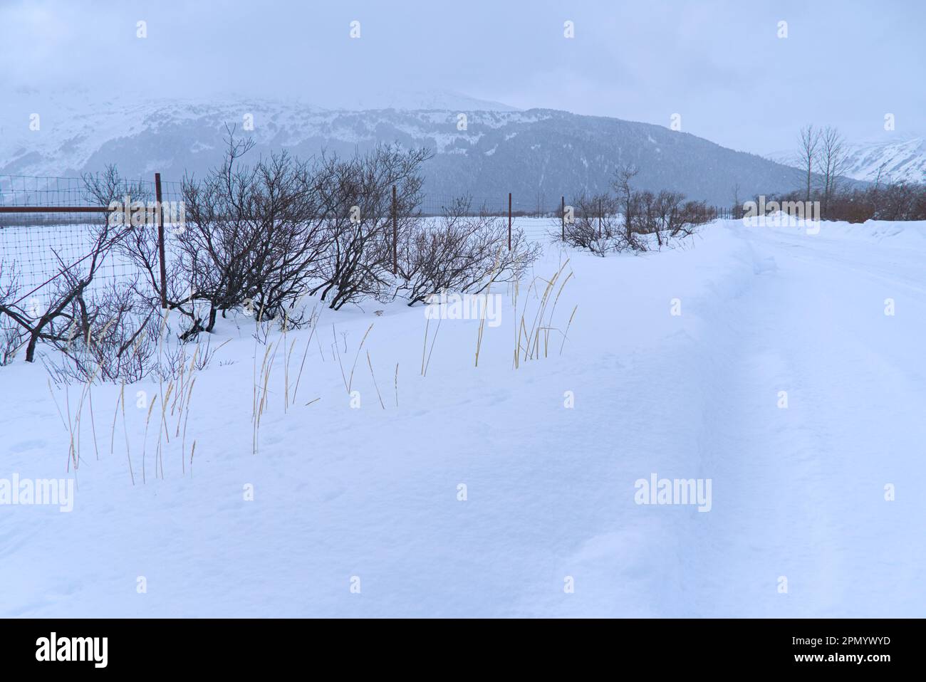 Ein Pfad im Schnee mit Bergen in der Ferne. Stockfoto