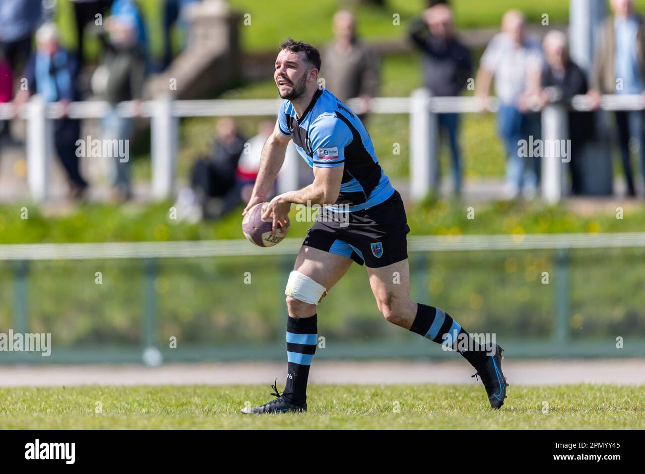 15. April 2023; Carmarthen Park, Carmarthen, Wales: Indigo Premiership Rugby, Carmarthen Quins versus Cardiff; Cardiff's scrum Half Tom Habberfield (9) in Aktion. Kredit: Action Plus Sports Images/Alamy Live News Stockfoto