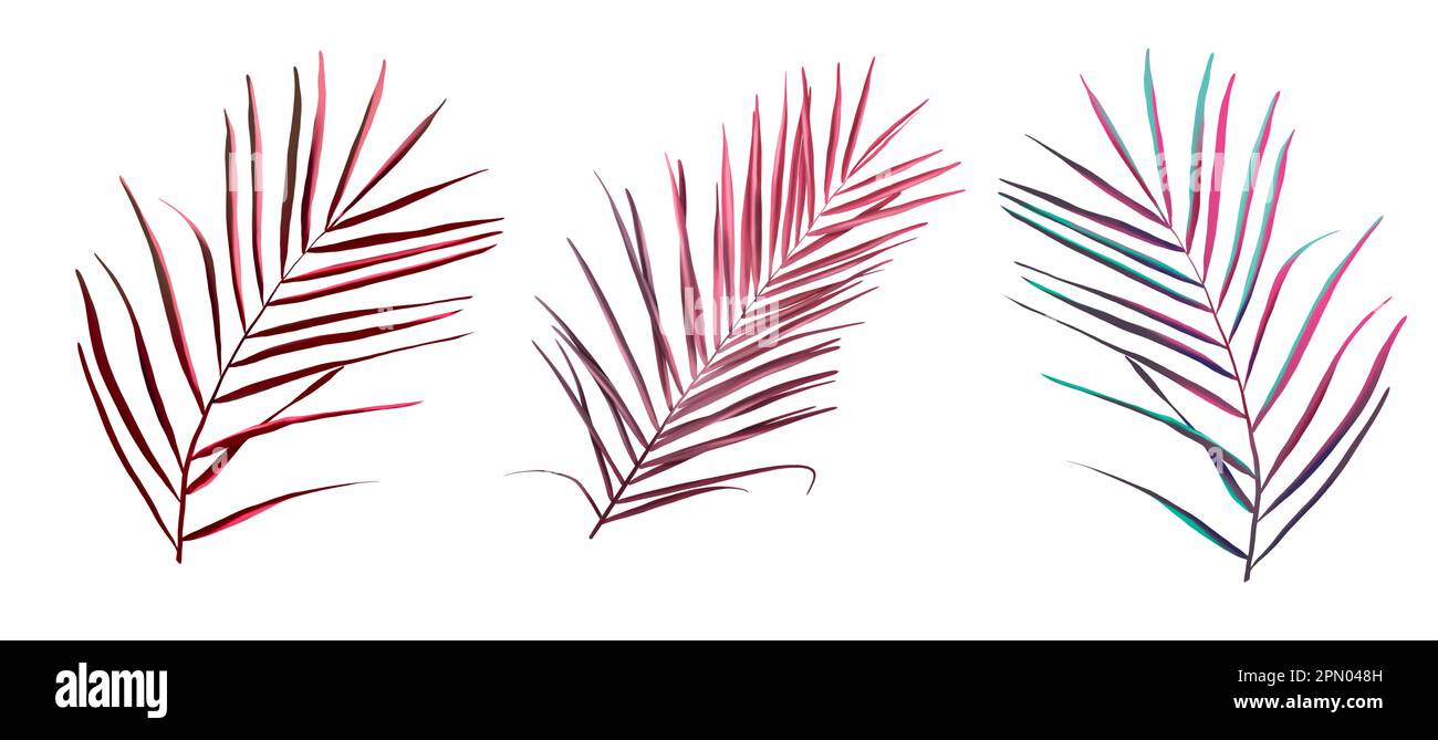 Ein Satz Palmwedel. Farbenfrohe Aquarelle mit tropischen Blättern Stockfoto