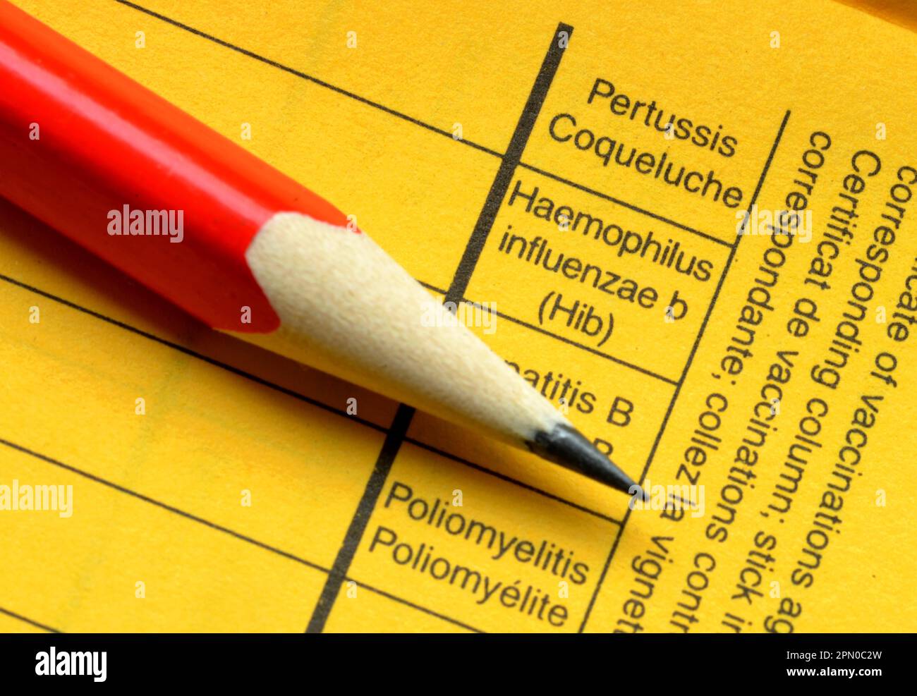 Impfbuch, Pertussis, Haemophilus influenzae b, Hepatitis B, Polio Stockfoto