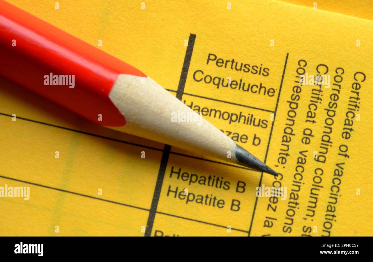 Impfbuch, Pertussis, Haemophilus influenzae b, Hepatitis B. Stockfoto