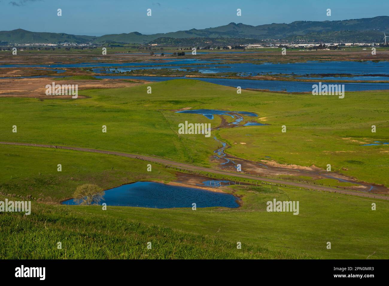 Grüne Wiesen in Fairfield, Kalifornien, an regnerischen Tagen mit klarem Himmel, mit einer sehr grünen Weide, einem Vernal Pool und TH Stockfoto