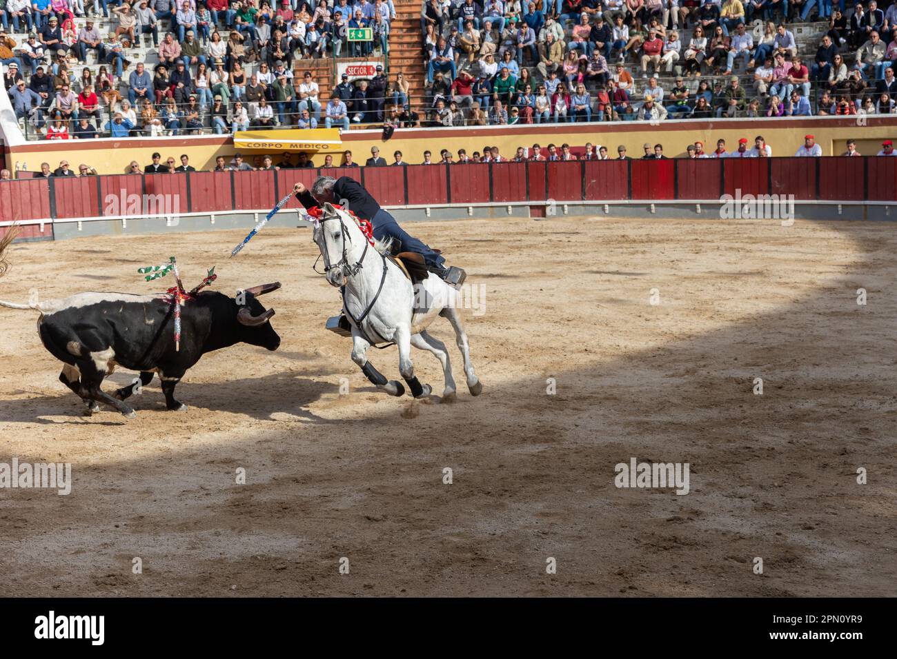 26. März 2023 Lissabon, Portugal: Tourada - Stierkämpfer auf dem Pferd, der mit einer Speerspitze in einer Arena einen Stier ersticht Stockfoto