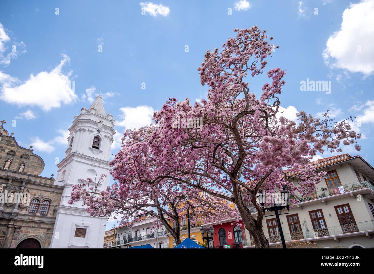 Panama City, Panama - 1. April 2023: Metropolitan Cathedral Basilica of Santa Maria the Ancient in Panama Citys fantastischem Alten Viertel. Stockfoto