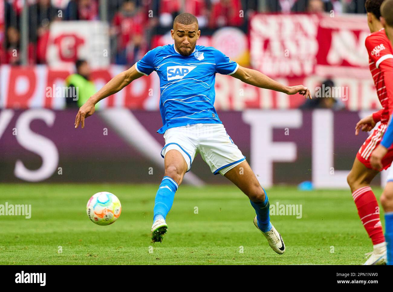 Kevin AKPOGUMA, Hoff 25 im Spiel FC BAYERN MÜNCHEN – TSG 1899 HOFFENHEIM 1-1 1. Deutsche Fußballliga am 15. April 2023 in München. Saison 2022/2023, Spieltag 28, 1. Bundesliga, FCB, BVB, München, 28. Spieltag. © Peter Schatz / Alamy Live News - DFL-VORSCHRIFTEN VERBIETEN DIE VERWENDUNG VON FOTOS als BILDSEQUENZEN und/oder QUASI-VIDEO - Stockfoto