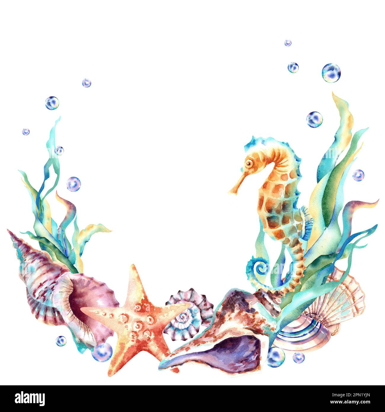 Ein Rahmen aus Meerestieren. Seepferdchen, Muscheln, Seesterne, Algen, Blasen, Perlen. Aquarelldarstellung auf einem isolierten Hintergrund Stockfoto