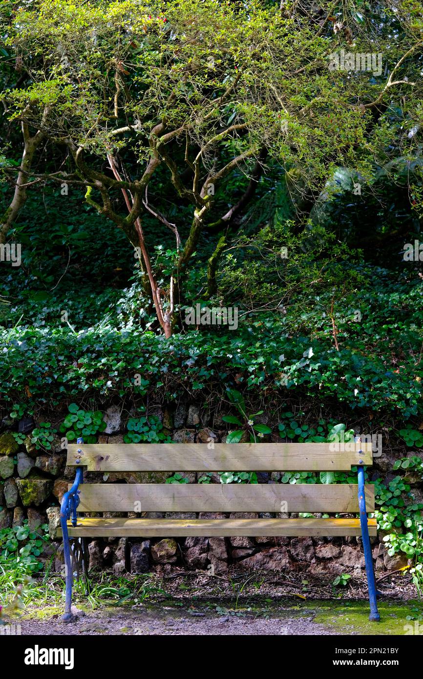 Trewidden Gardens Penzance Stockfoto