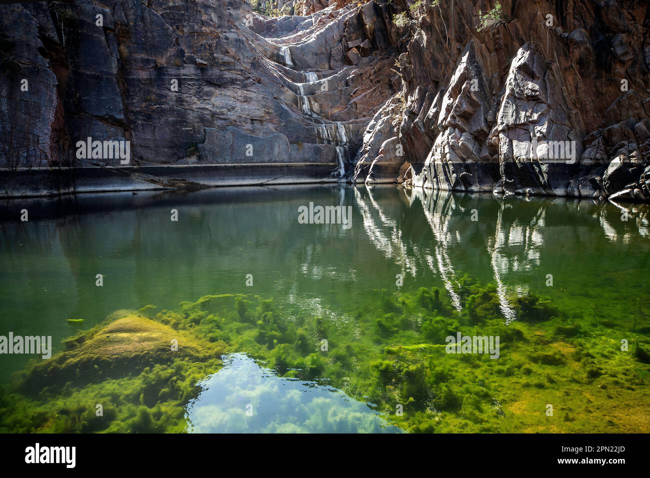 Reflexionen im Pool unter einem trockenen Wasserfall, umgeben von Felsen mit grünem Wasserunkraut, das wächst. Stockfoto