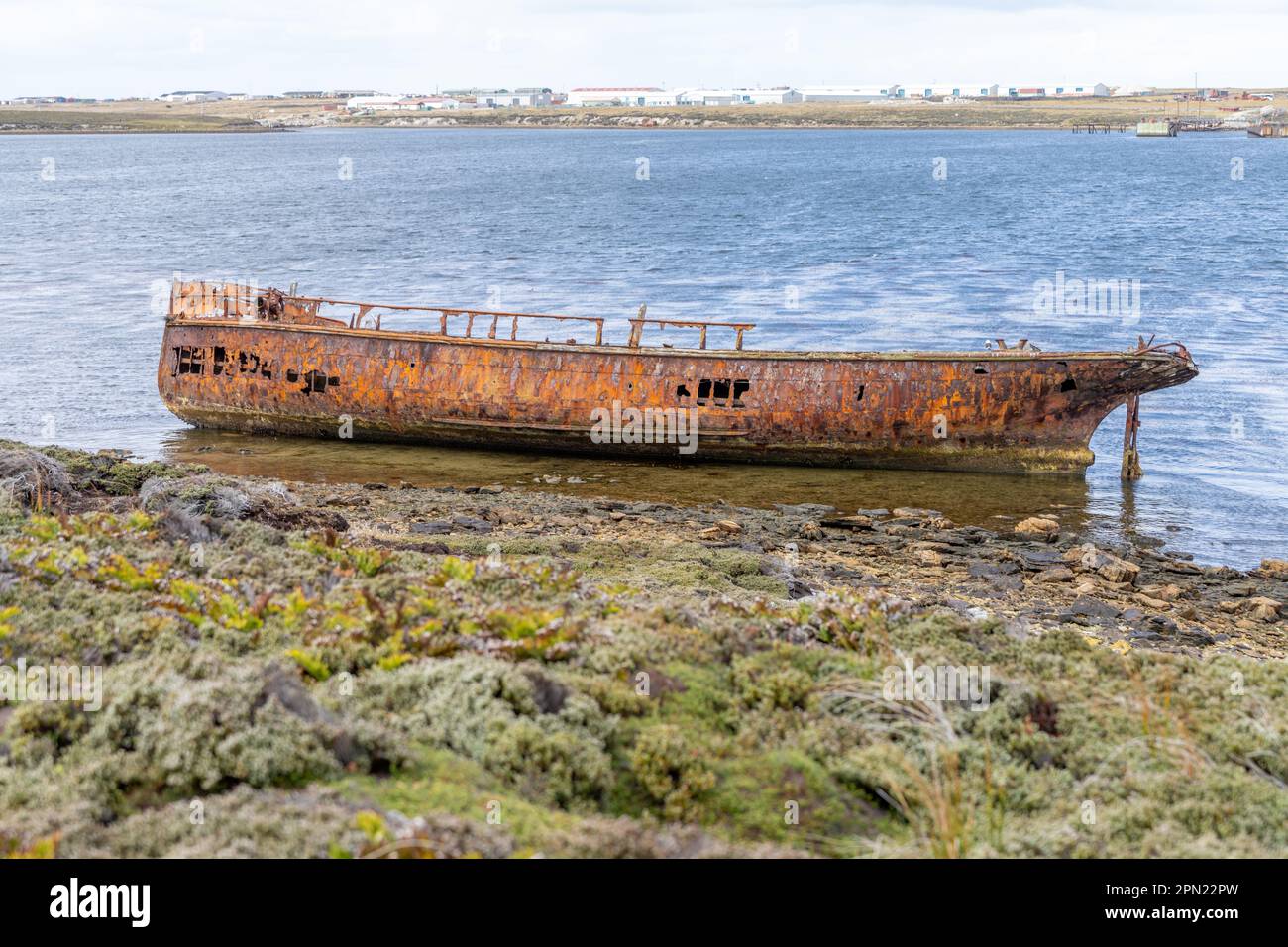 Ein altes walfangwrack in der Walfangbucht vor Stanley auf den Falklandinseln. Stanley im Hintergrund Stockfoto