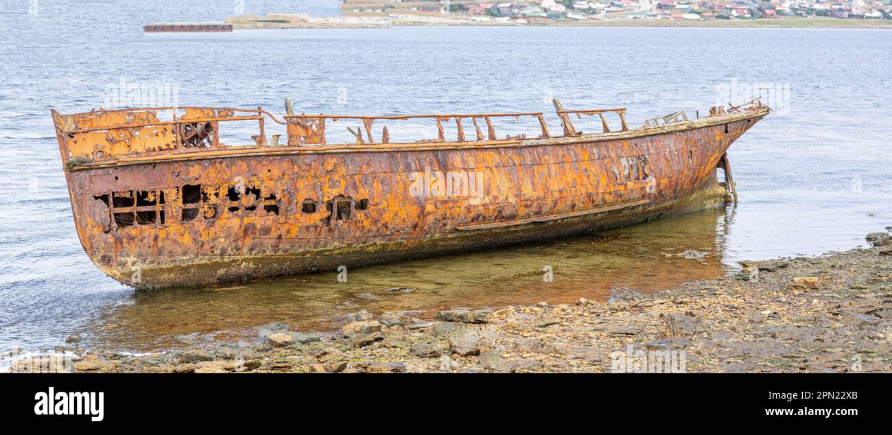 Ein altes walfangwrack in der Walfangbucht vor Stanley auf den Falklandinseln. Stanley im Hintergrund Stockfoto
