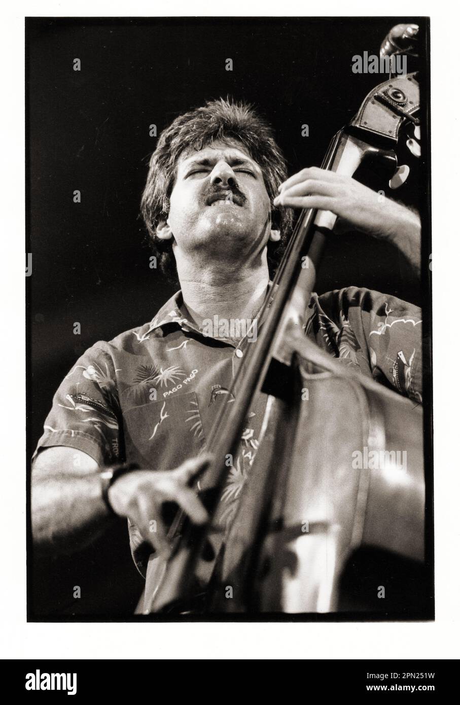 Ein Portrait des Jazz-Bassist Harvie S, der 1983 in Manhattan, New York City, in einem Konzert auftrat. Stockfoto