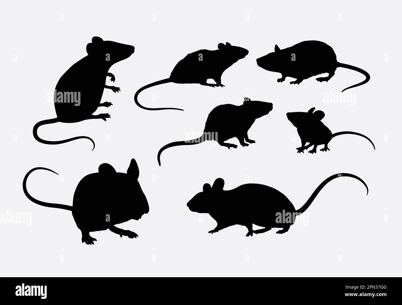 Silhouetten von Ratten und Mäusen. für Logos, Websymbole