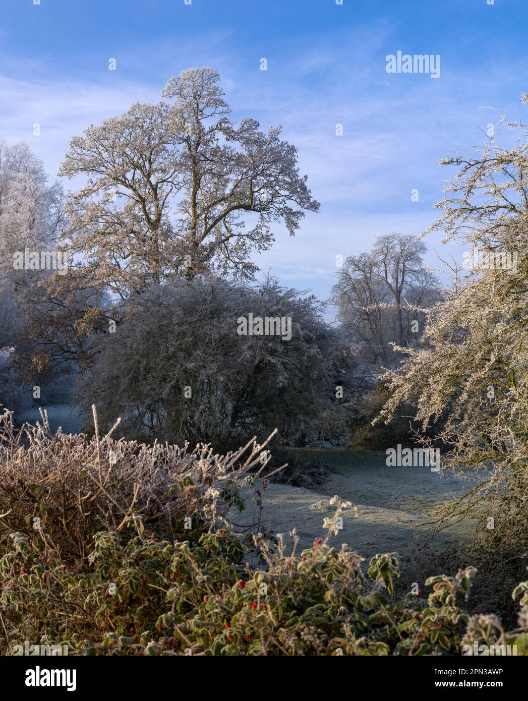 Frostiger Wintermorgen in England Stockfoto Frostiger Wintermorgen in England Stockfoto
