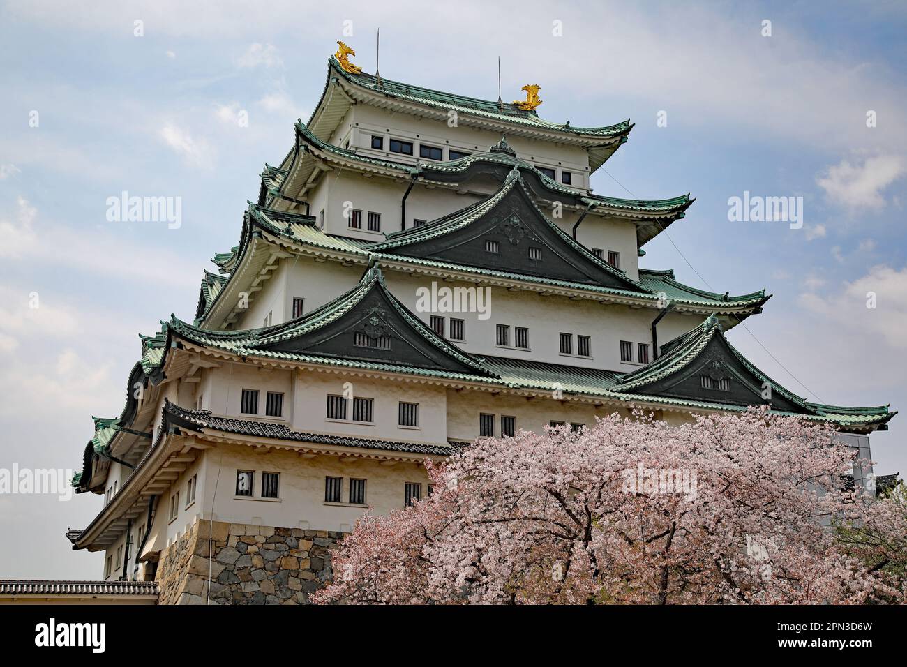 Schloss Nagoya, Chubu, Japan Stockfoto