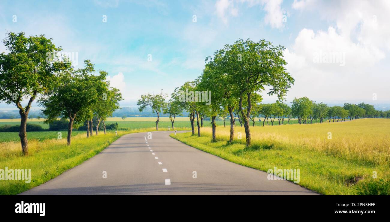 Durch die wunderschöne Landschaft der slowakei, vorbei an Feldern und Bäumen. Szene in einem ruhigen und friedlichen Ambiente Stockfoto