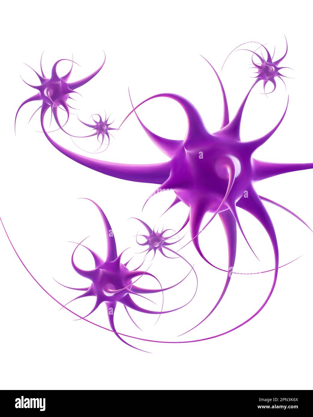 Neuron Gehirn Neuronale Netzwerkstruktur Stockfoto