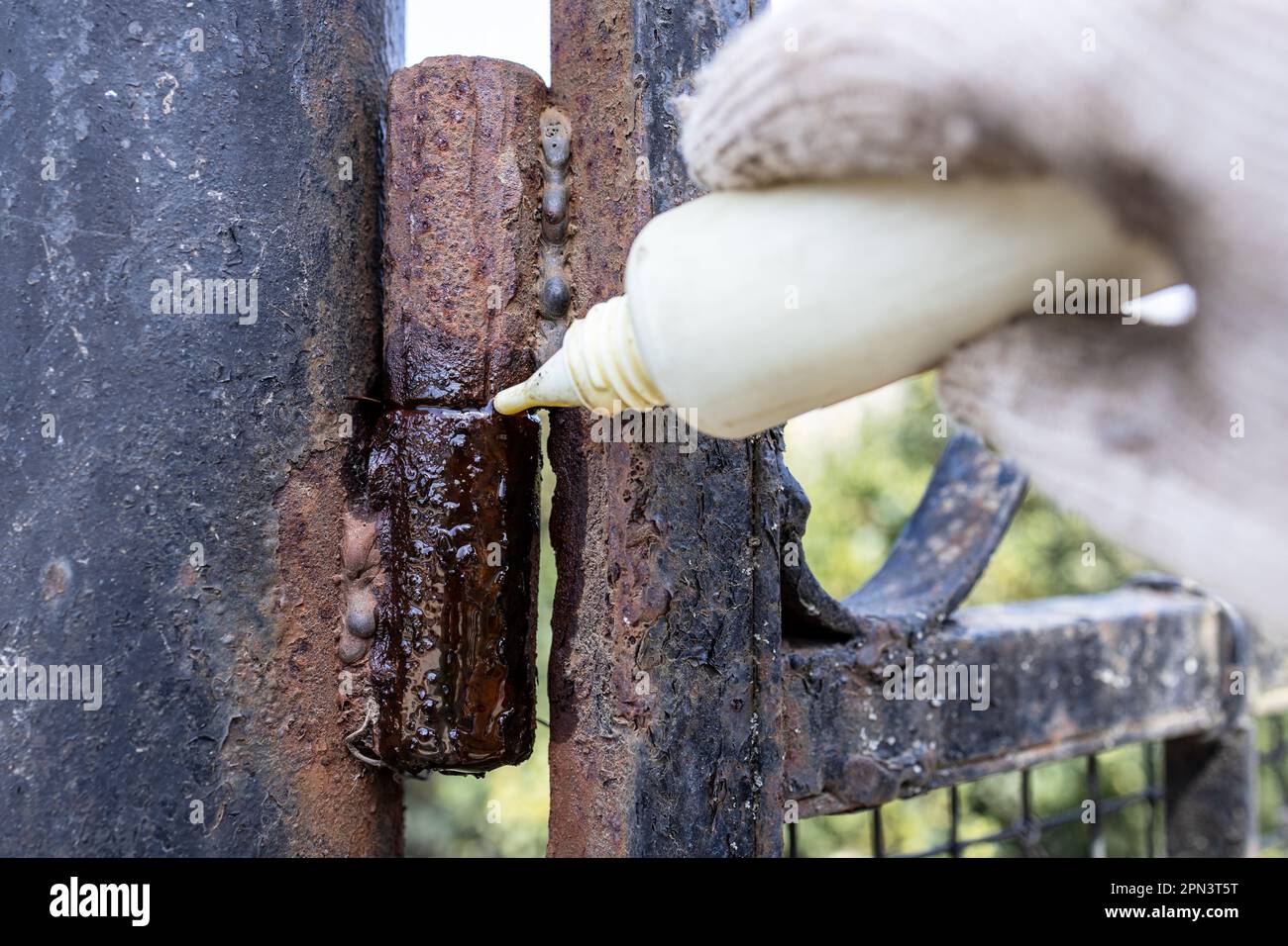 Schmierung von rostigem Torscharnier mit Öl aus Kunststofföler im Außenbereich Stockfoto