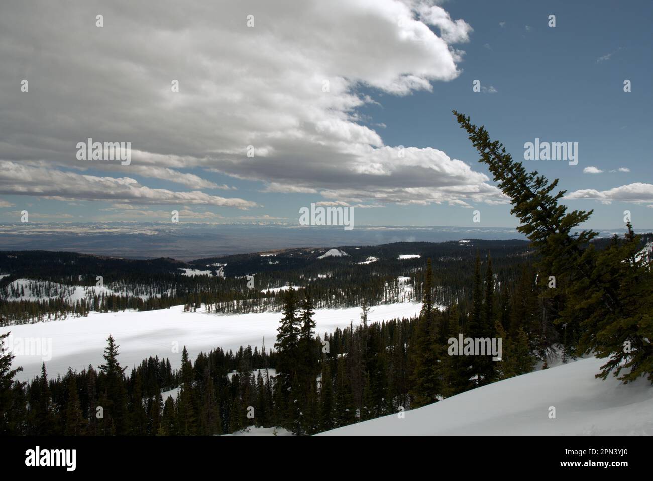 Ein Blick von der County Line vista in Colorados Grand Mesa Stockfoto