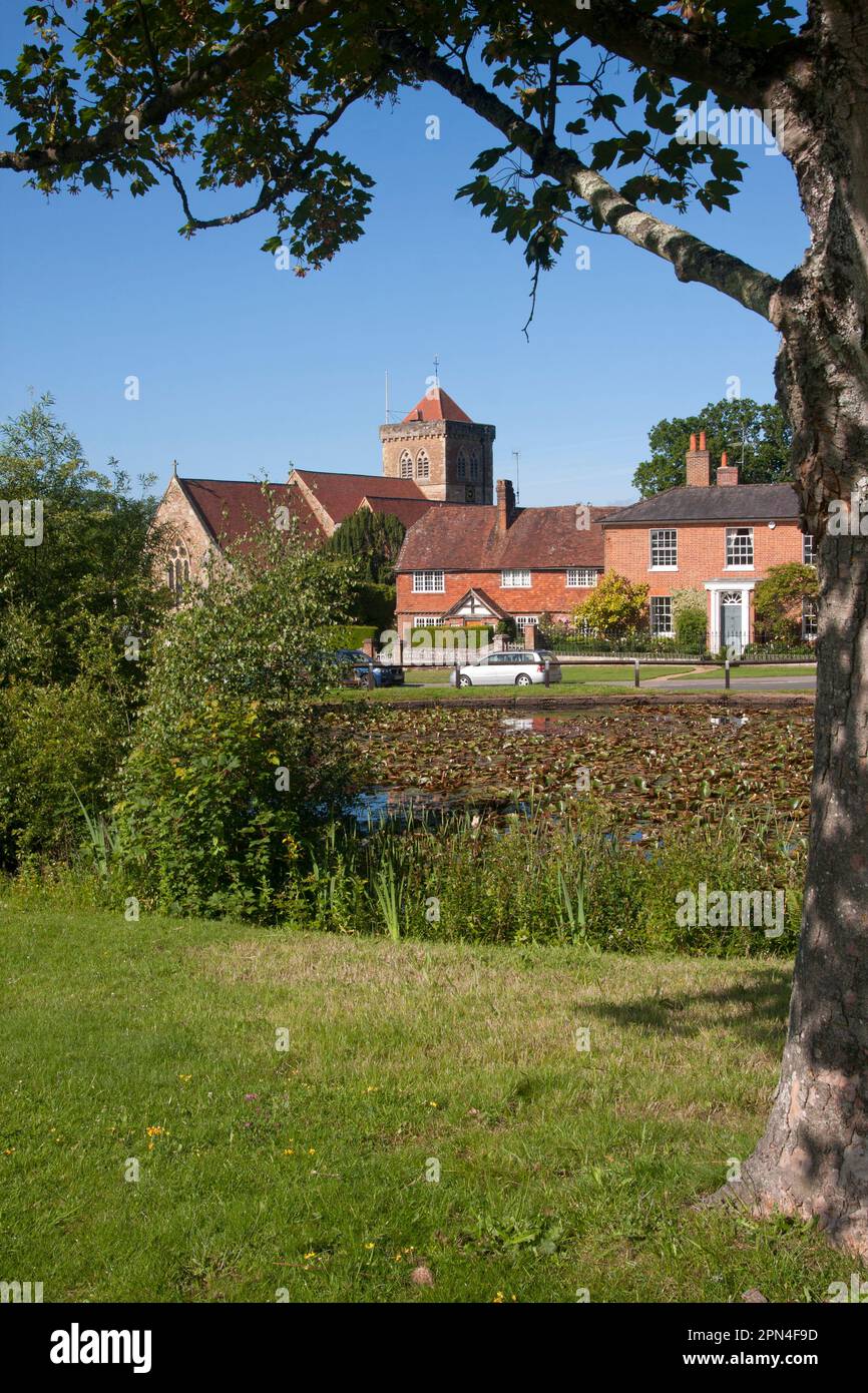 Chiddingfold & St Mary's Church, Surrey, England Stockfoto